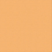 CARD STOCK 216GSM 5pack - Temptress 12 x 12